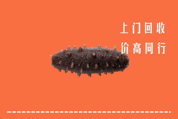 高价求购：乐山市回收海参