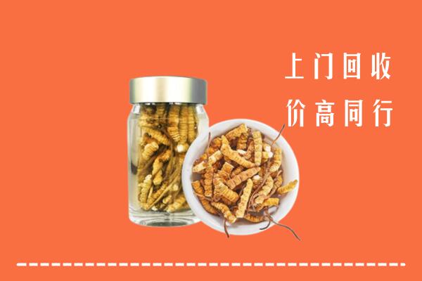 乐山市回收冬虫夏草