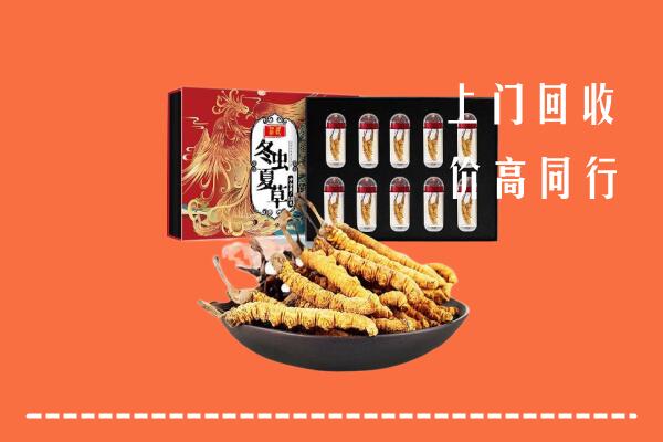 乐山市回收虫草